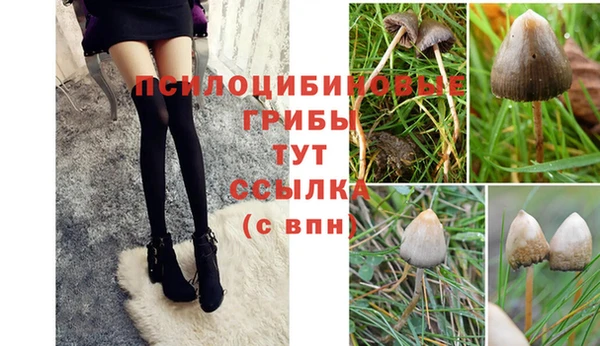 МДПВ Алексеевка