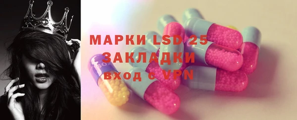 гашик Алзамай