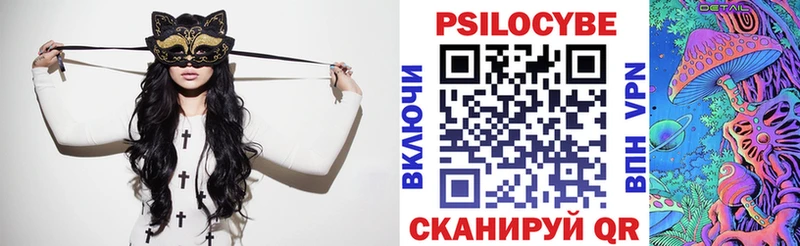 закладка  Владивосток  Галлюциногенные грибы Psilocybine cubensis 