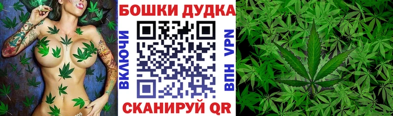 Конопля конопля  цены наркотик  Владивосток 